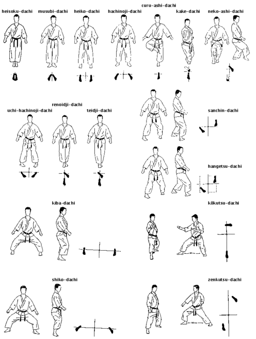 Tư thế thủ (Stances)